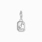 Preview: THOMAS SABO Charm Sternzeichen Skorpion 925 Silber 2148-643-21