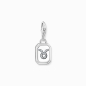 Preview: THOMAS SABO Charm Sternzeichen Stier 925 Silber 2151-643-21