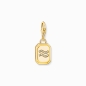 Preview: THOMAS SABO Charm Sternzeichen Wassermann 925 Silber goldfarben 2155-414-39