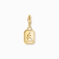 Preview: THOMAS SABO Charm Sternzeichen Wassermann 925 Silber goldfarben 2155-414-39