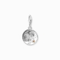 Preview: THOMAS SABO Charm Iglu Silber 2060-473-7