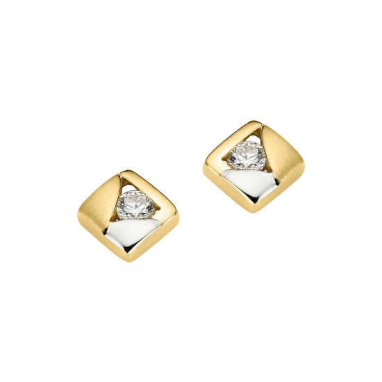 CEM Damen Ohrringe Ohrstecker 333er Gelbgold Bicolor 6-202694-001