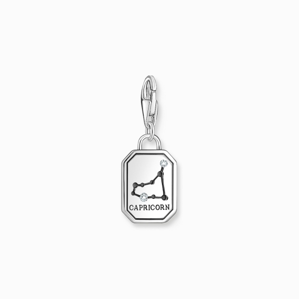 THOMAS SABO Charm Sternzeichen Steinbock 925 Silber 2152-643-21