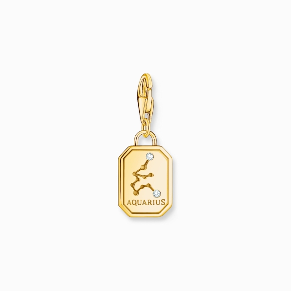 THOMAS SABO Charm Sternzeichen Wassermann 925 Silber goldfarben 2155-414-39